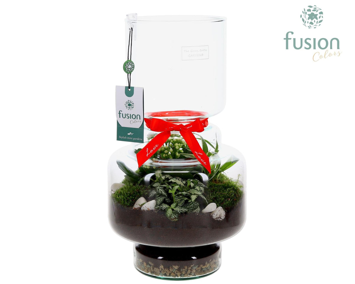 Green Bottle Lotte Large met Love arrangement 43cm 22cm Pot