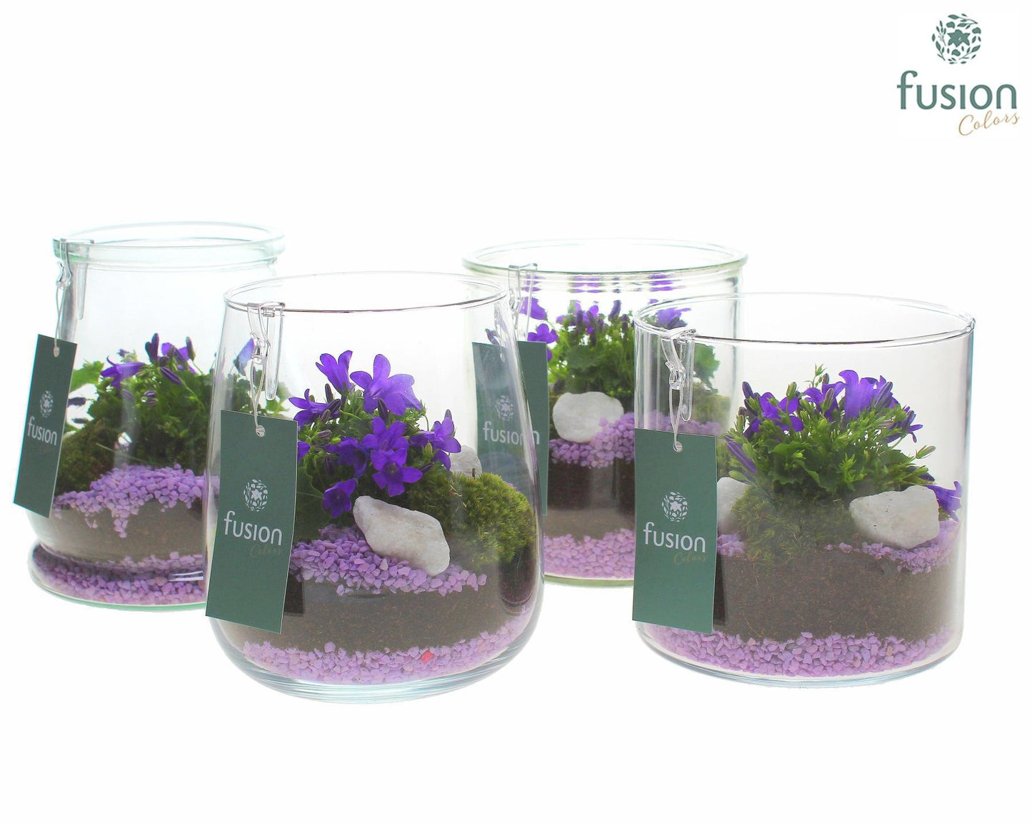 Glas mix Druppel, Julia, Dirk en Lucille met Campanula 24uur levertijd 15cm 16cm Pot