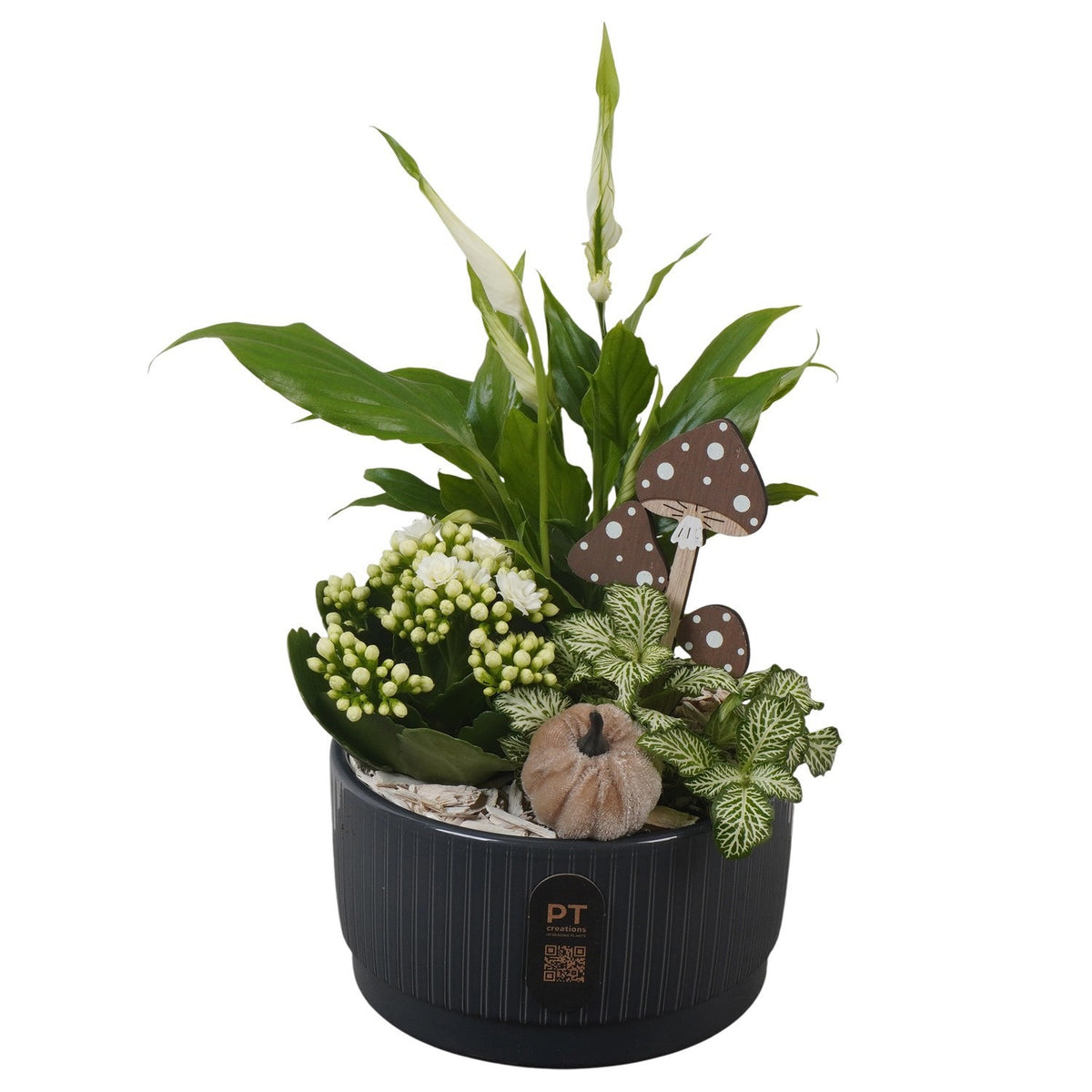 Indoor arrangement 33cm 16cm Pot