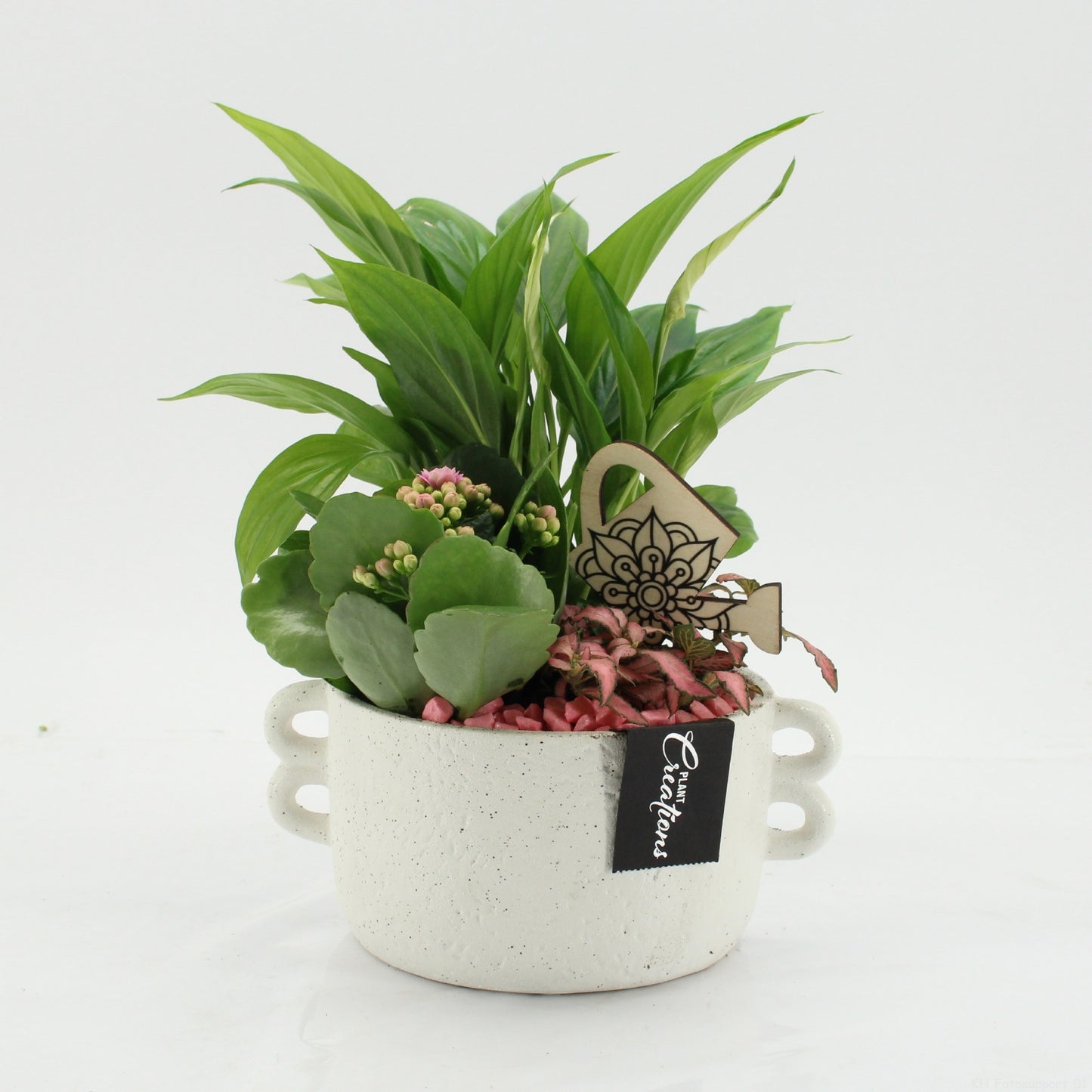 Indoor flowering arrangement 30cm 20cm Pot