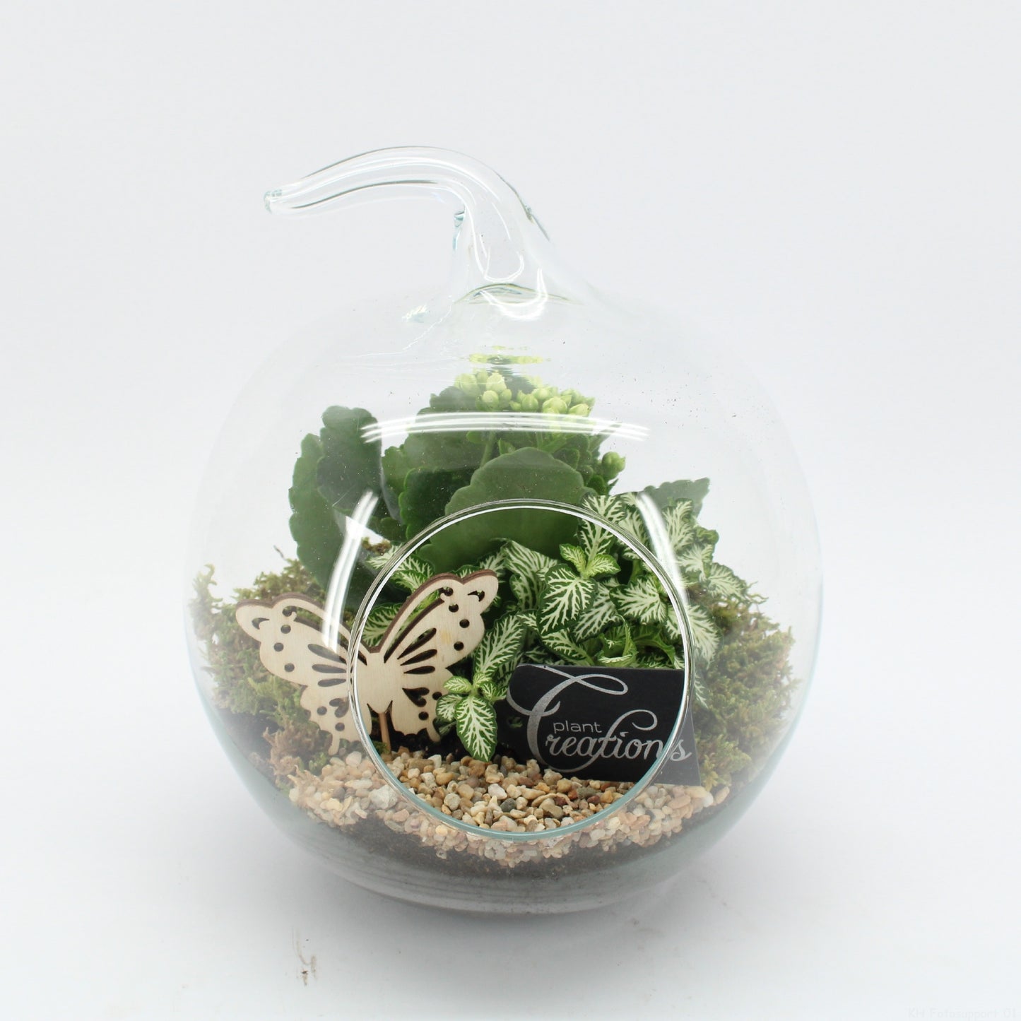 ESCR-2631W Essentials terrarium 24cm 20cm Pot