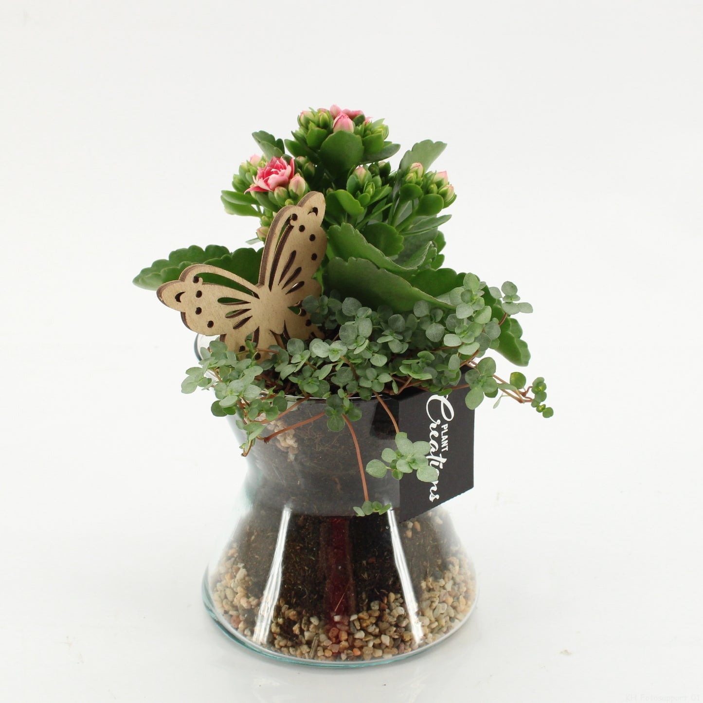 ESCR-2624RZ Essentials 20cm 12cm Pot