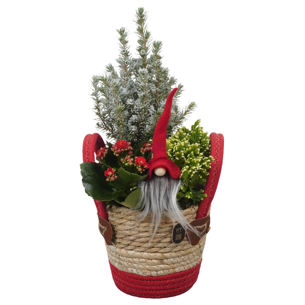 Christmas arrangement 39cm 14cm Pot