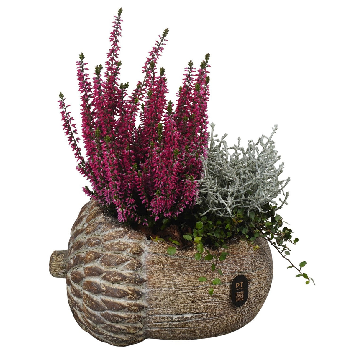 Outdoor arrangement 29cm 22cm Pot