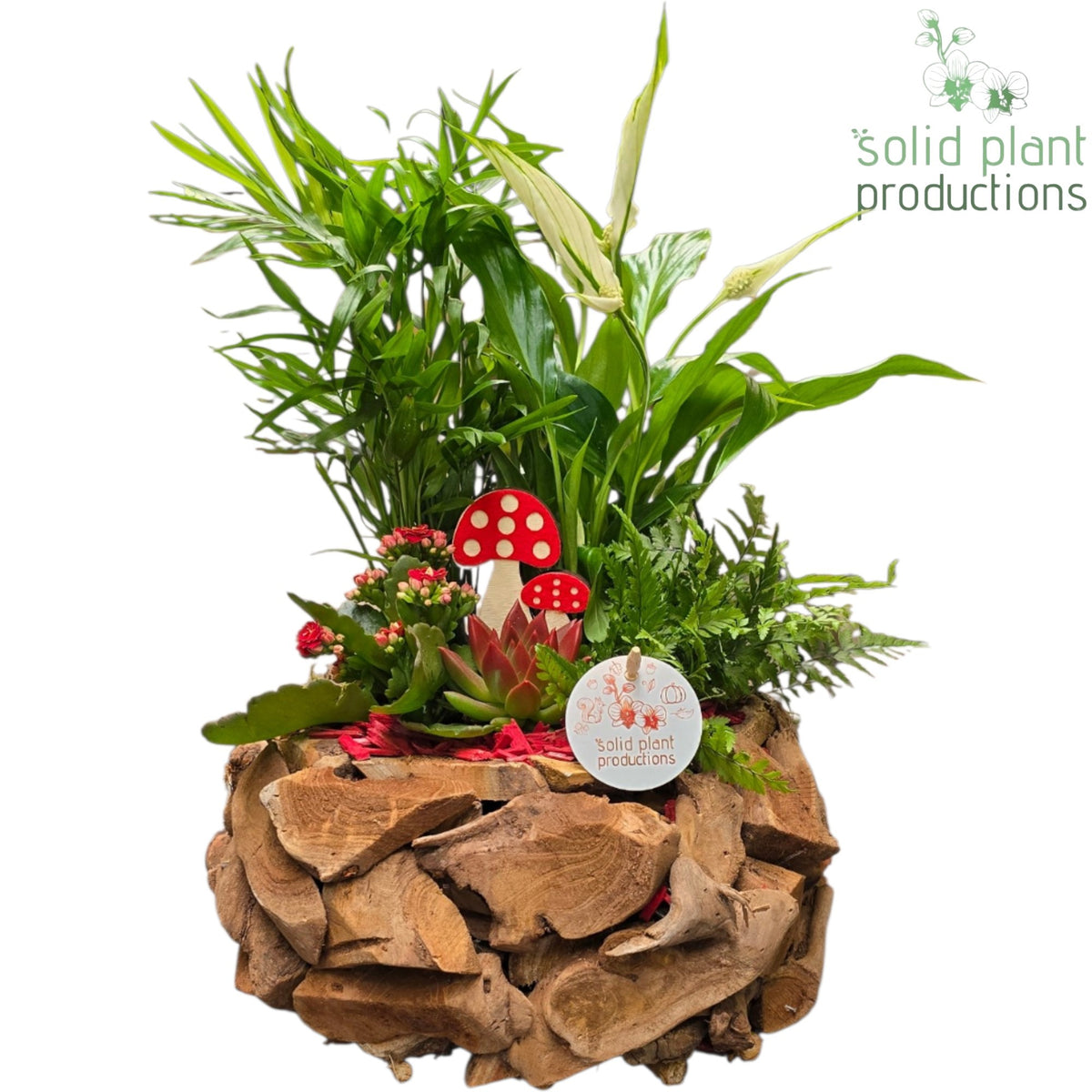 SCE013 Driftwood Round Red Autumn 45cm 31cm Pot