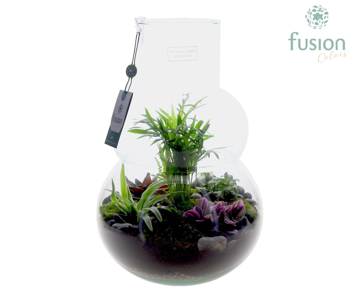Green Bottle Olaf Large met arrangement 43cm 26cm Pot