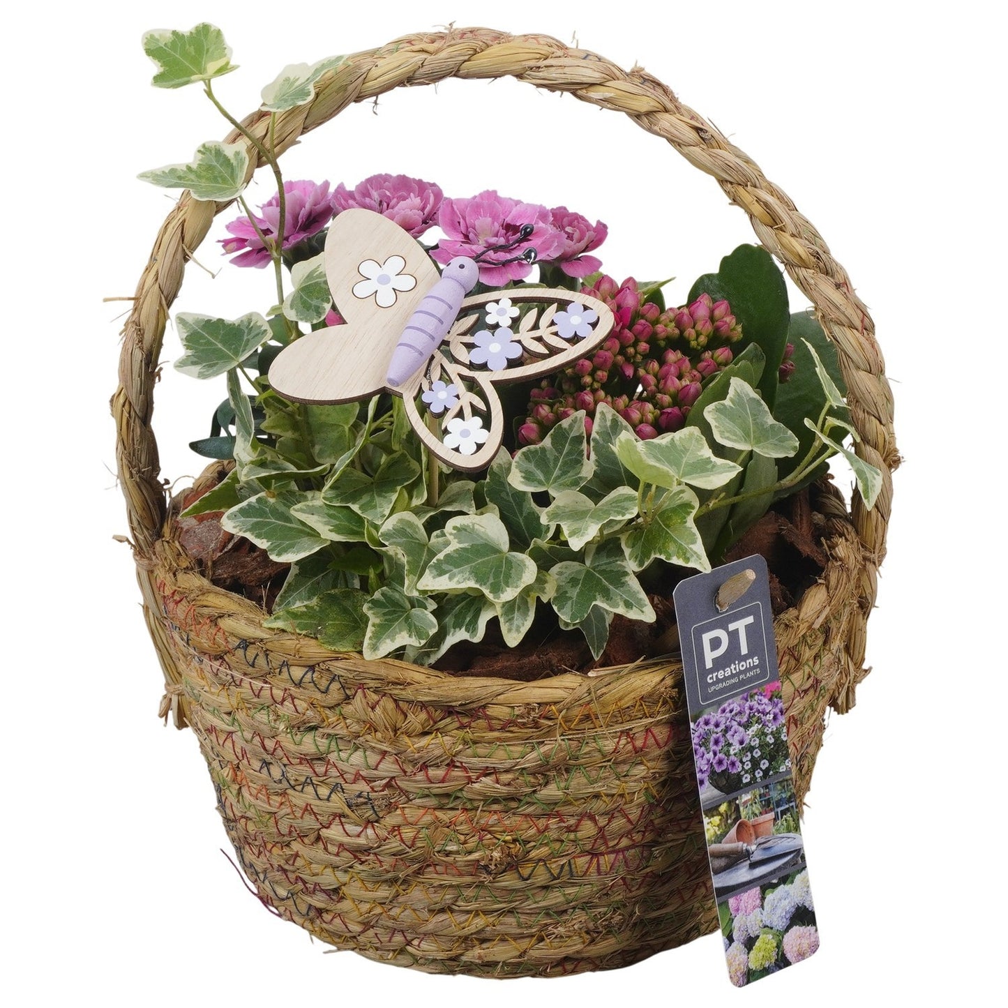 Outdoor arrangement 27cm 18cm Pot