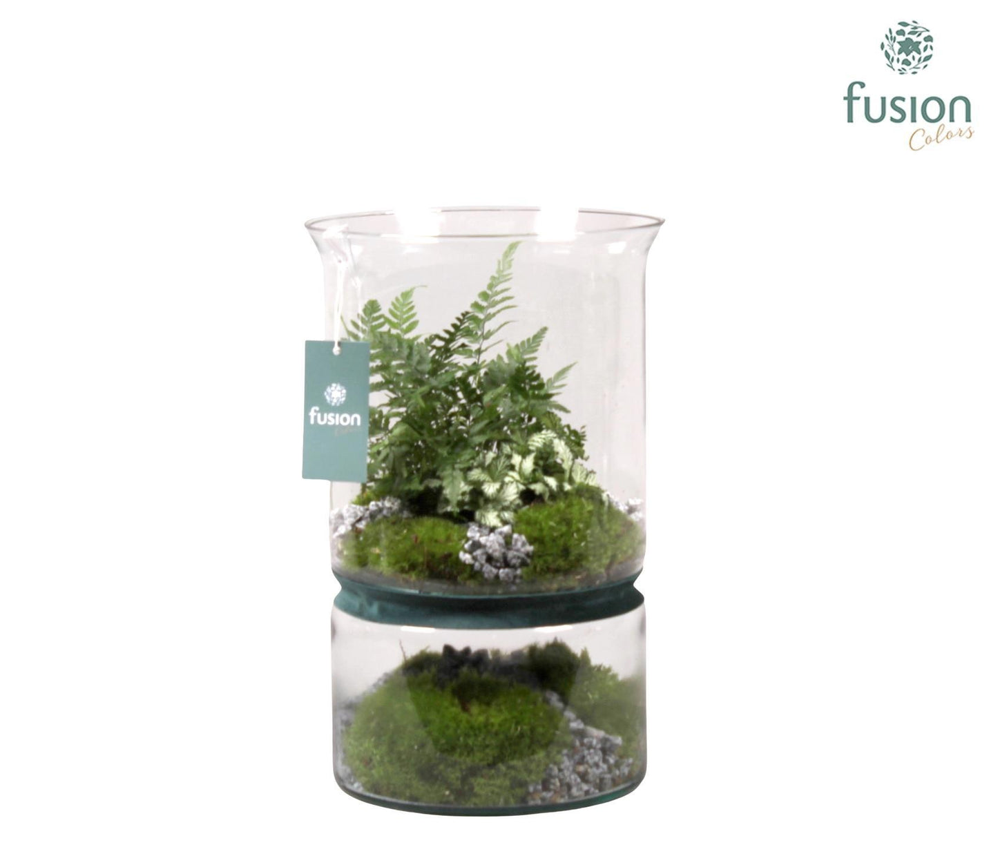 Green Bottle duopot XL met arrangement 35cm 22cm Pot