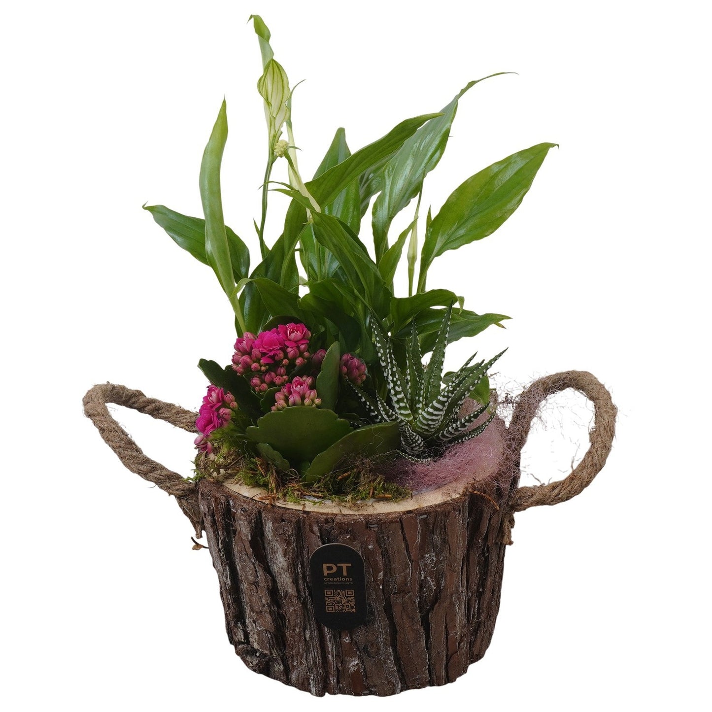 Indoor arrangement 30cm 16cm Pot