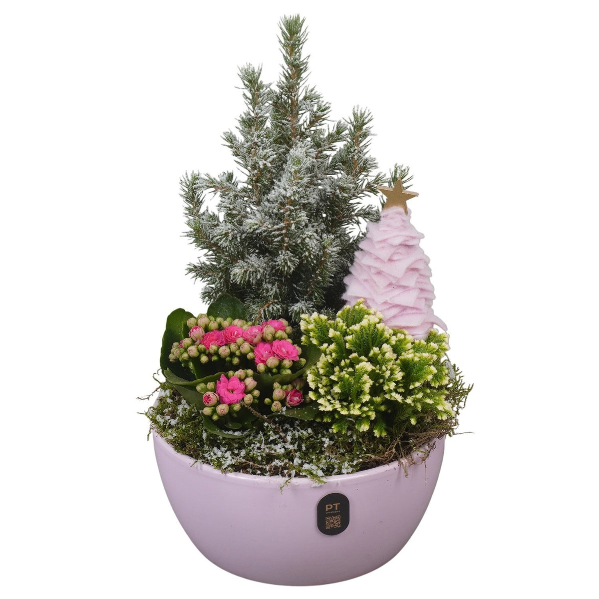 Christmas arrangement 33cm 18cm Pot