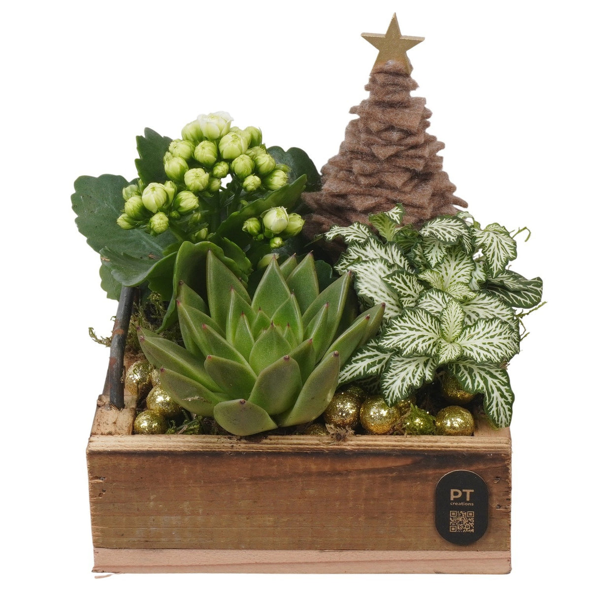 Christmas arrangement 20cm 15cm Pot