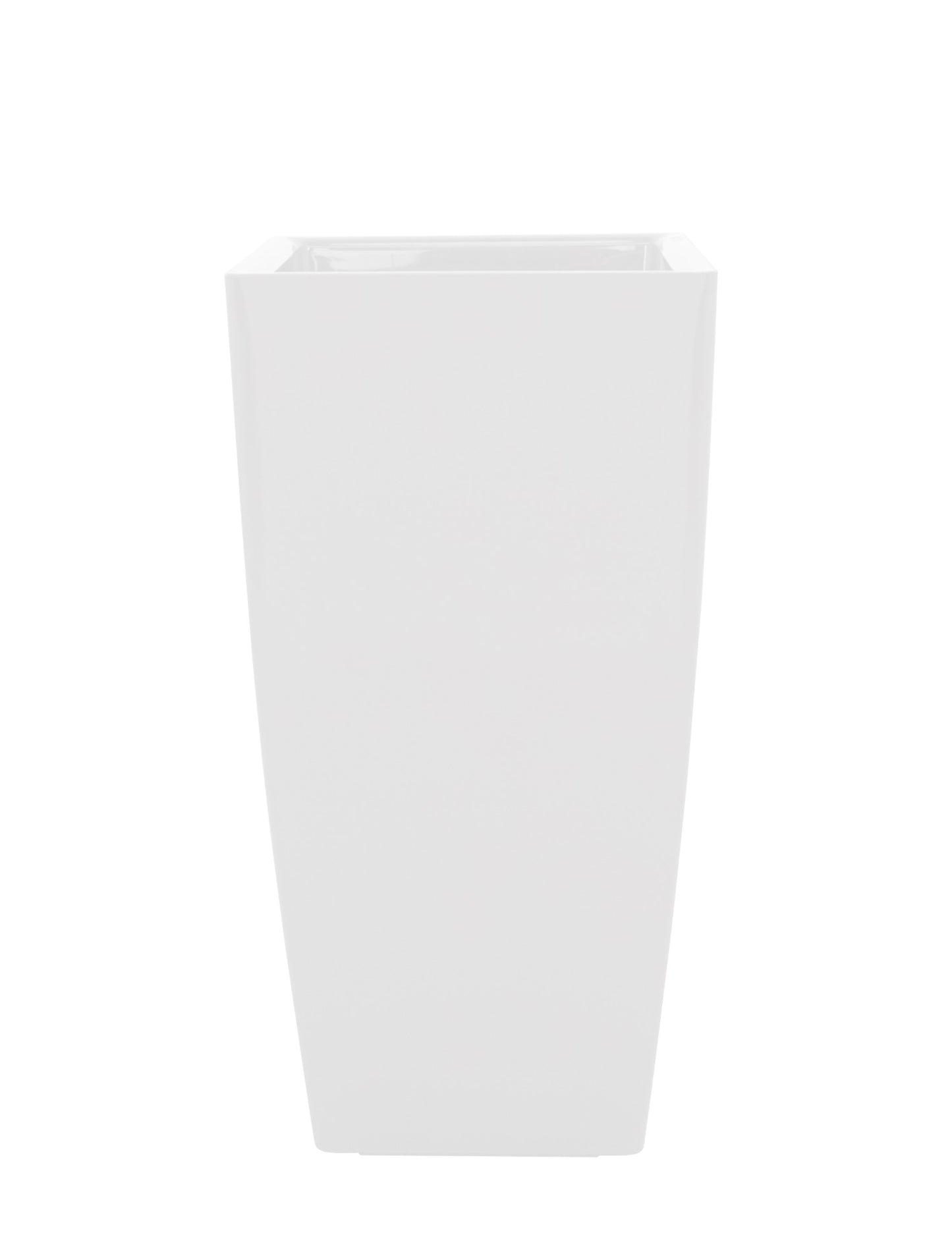 Plants 80cm 40cm Pot