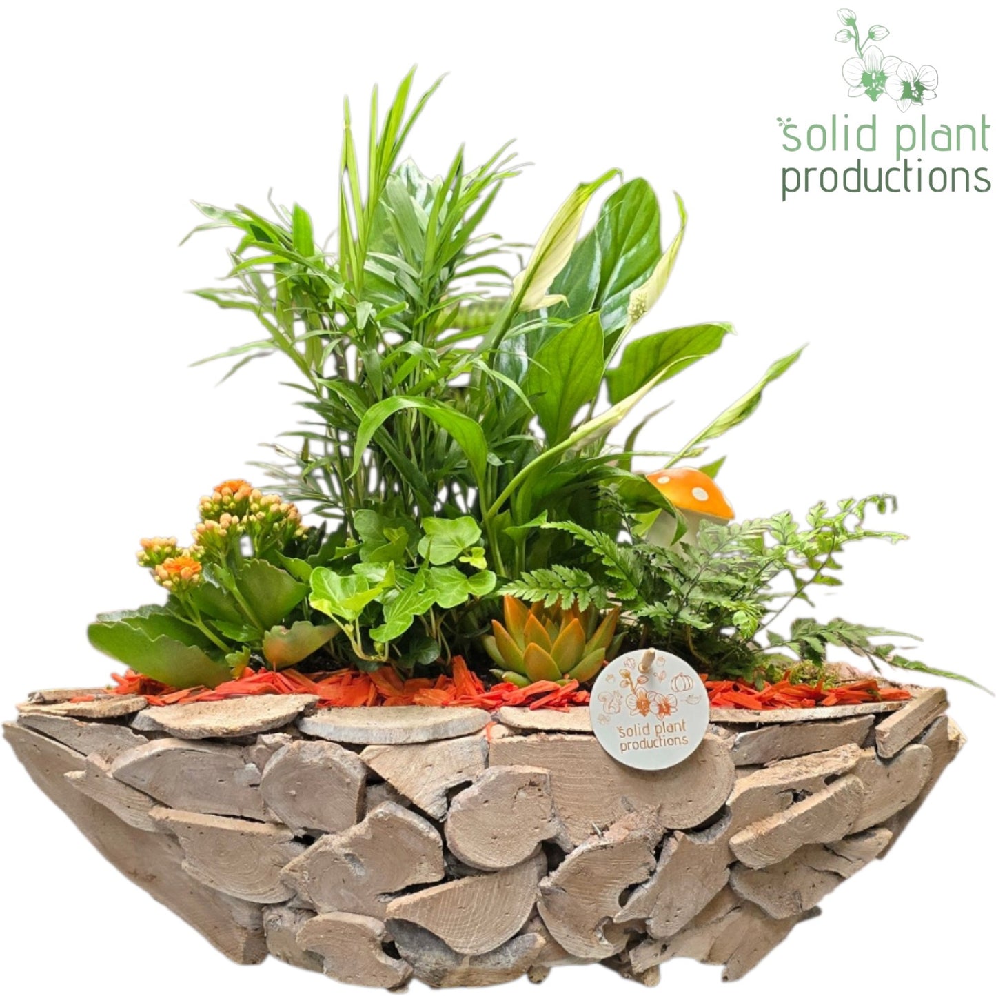 Solid Plant Productions SCE012 Driftwood Boat White Washed Orange Autumn Pack of 1
