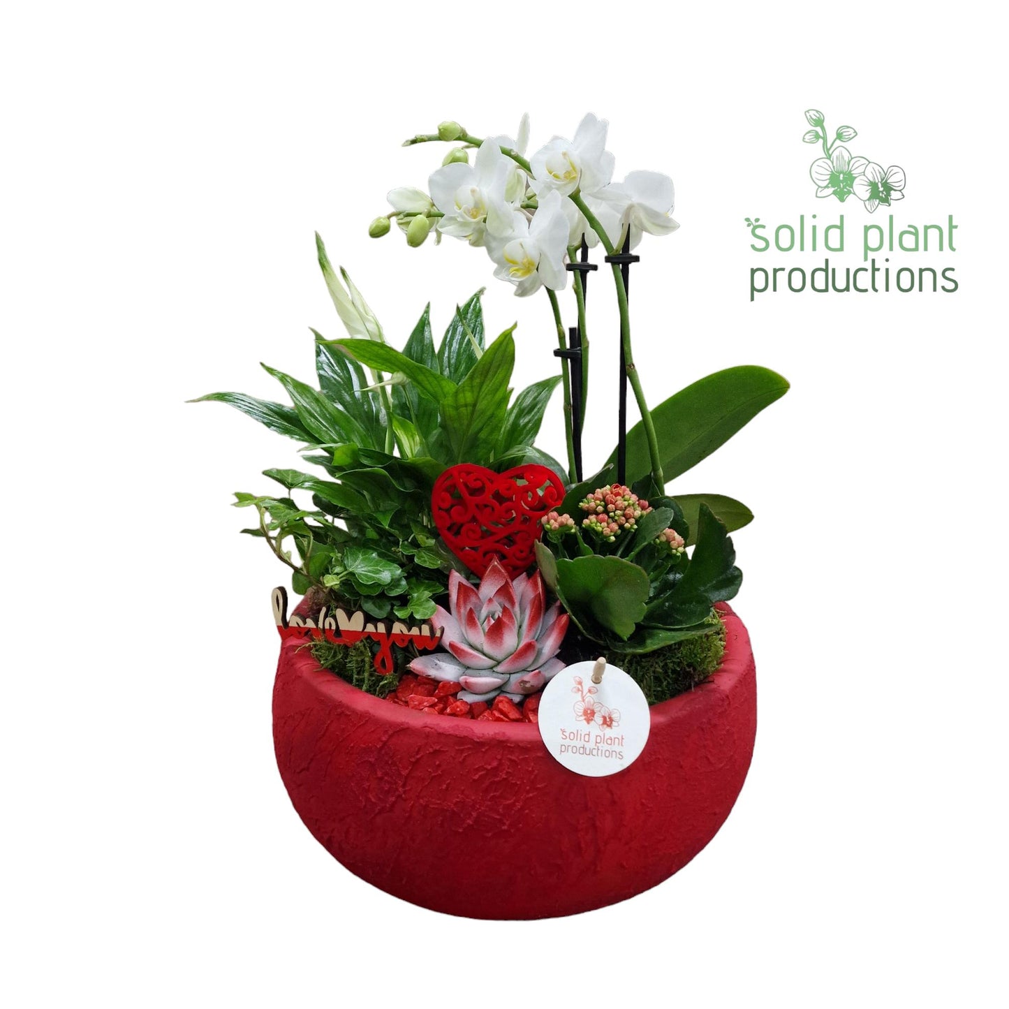PL044 Rosita Luxe Red 45cm 28cm Pot