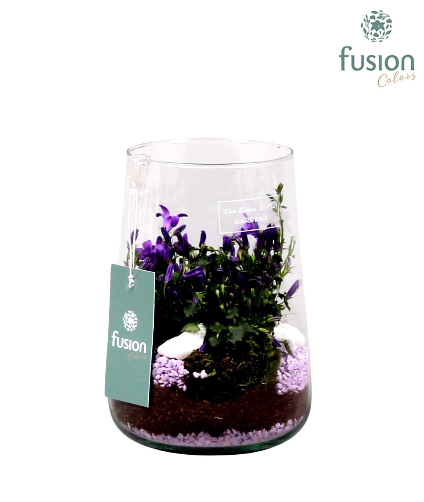 Green Bottle Deline Medium met Campanula 24uur levertijd 20cm 13cm Pot
