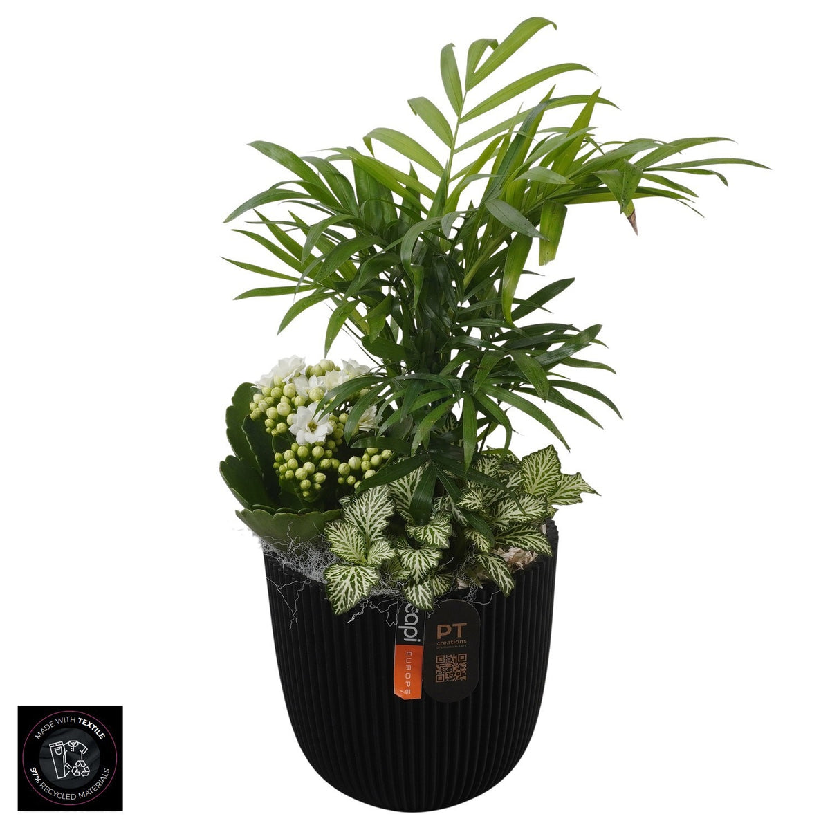 Indoor arrangement 33cm 13cm Pot
