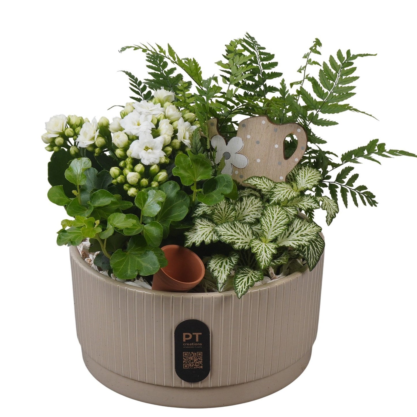 Indoor arrangement 21cm 19cm Pot