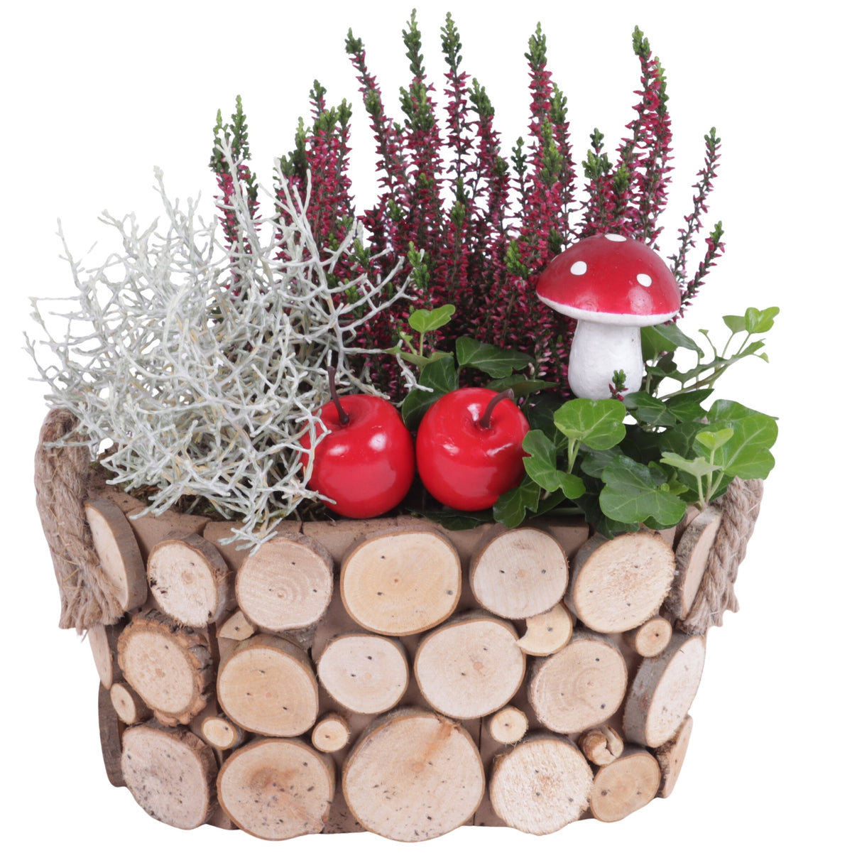 Outdoor arrangement 25cm 23cm Pot
