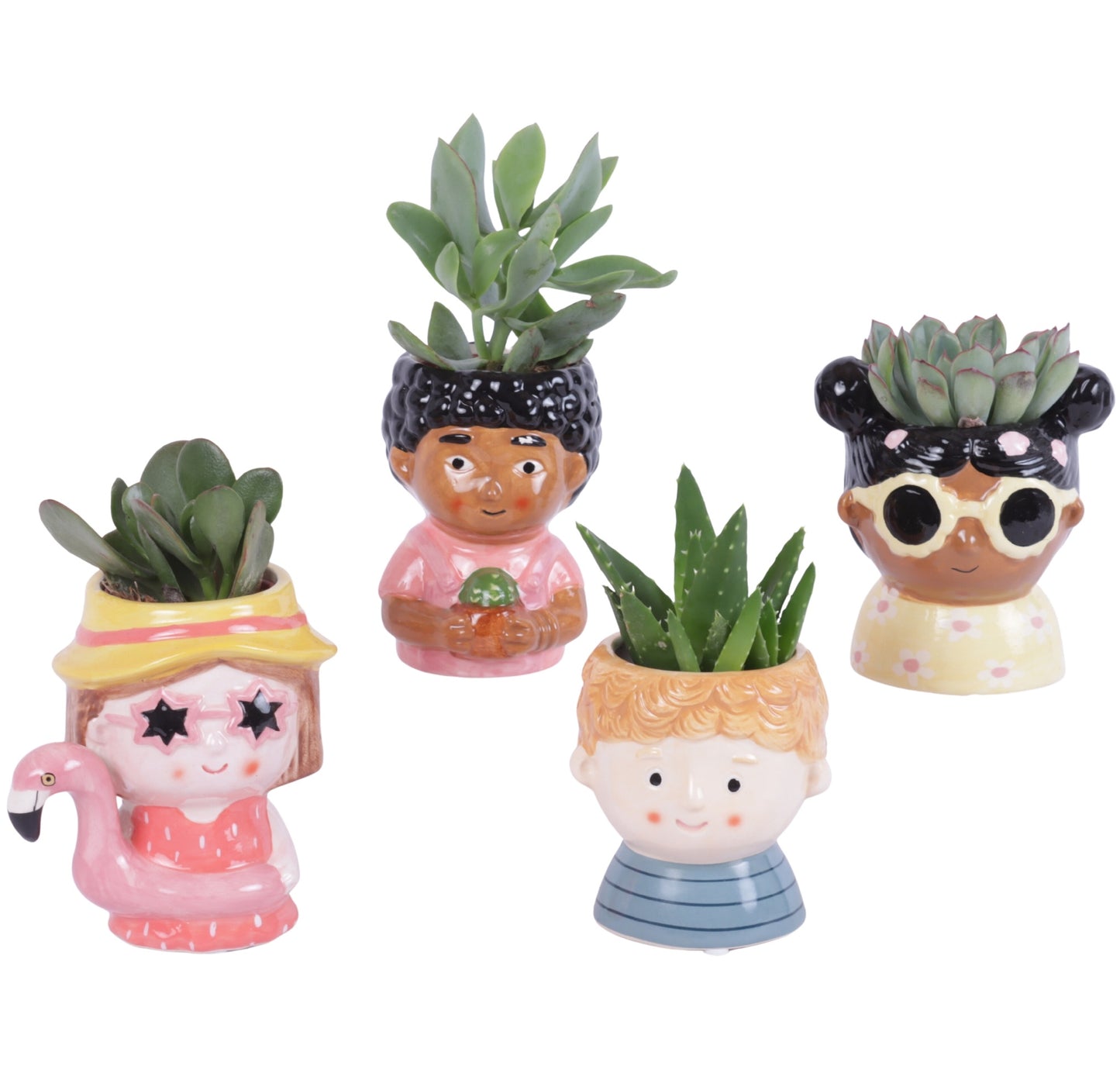 Succulent mix 25cm 11cm Pot