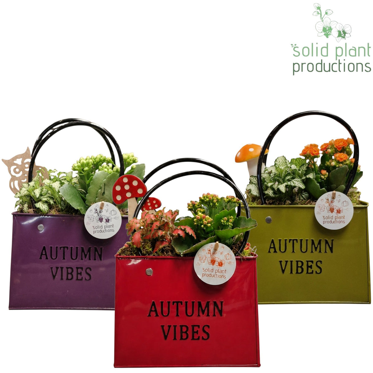 ZKE001 Mix Autumn Bag Large 28cm 18cm Pot