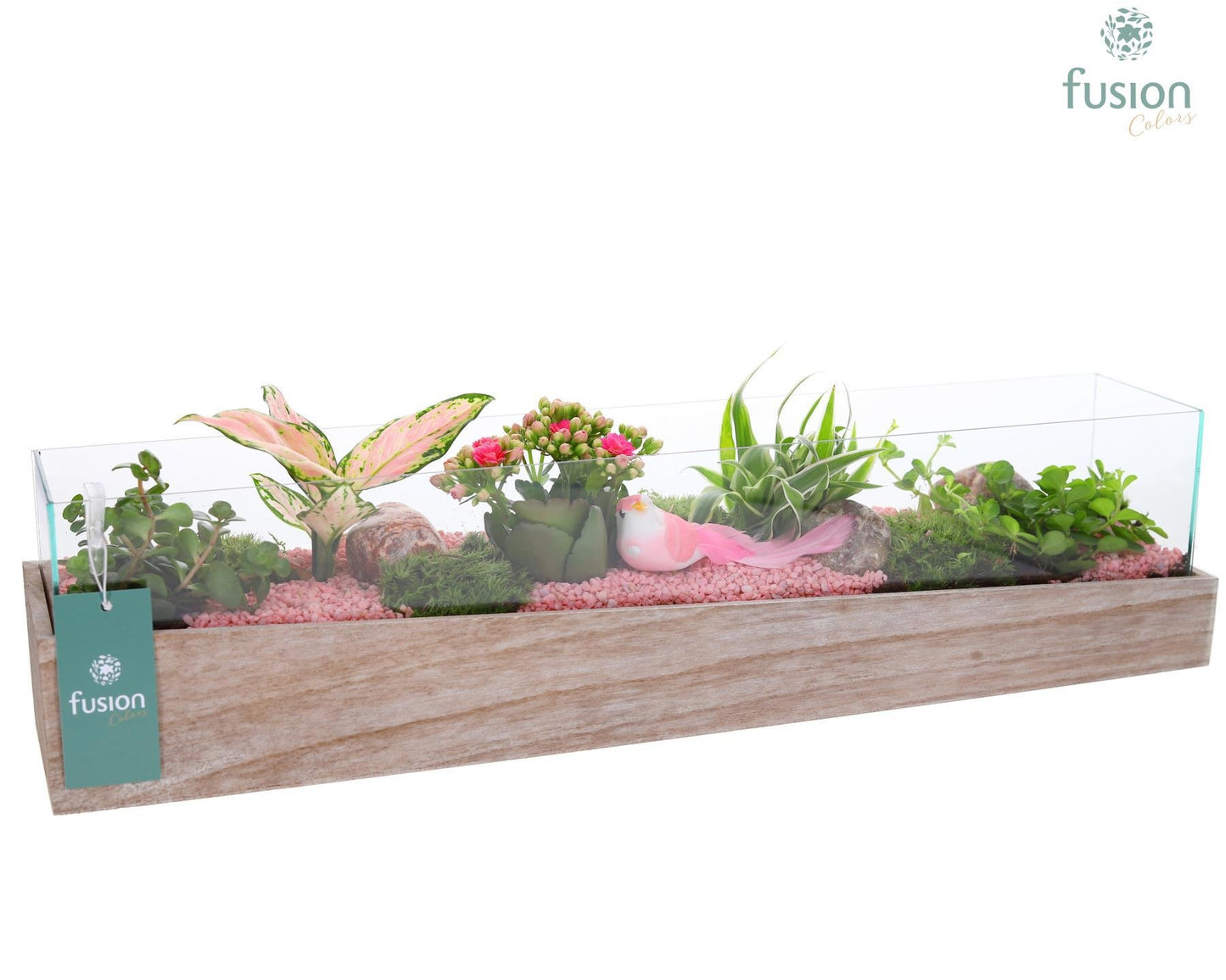 Aquarium Large met Arrangement 15cm 58cm Pot