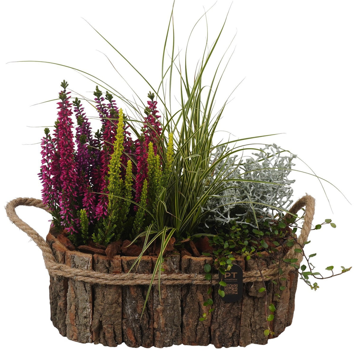 Outdoor arrangement 34cm 26cm Pot