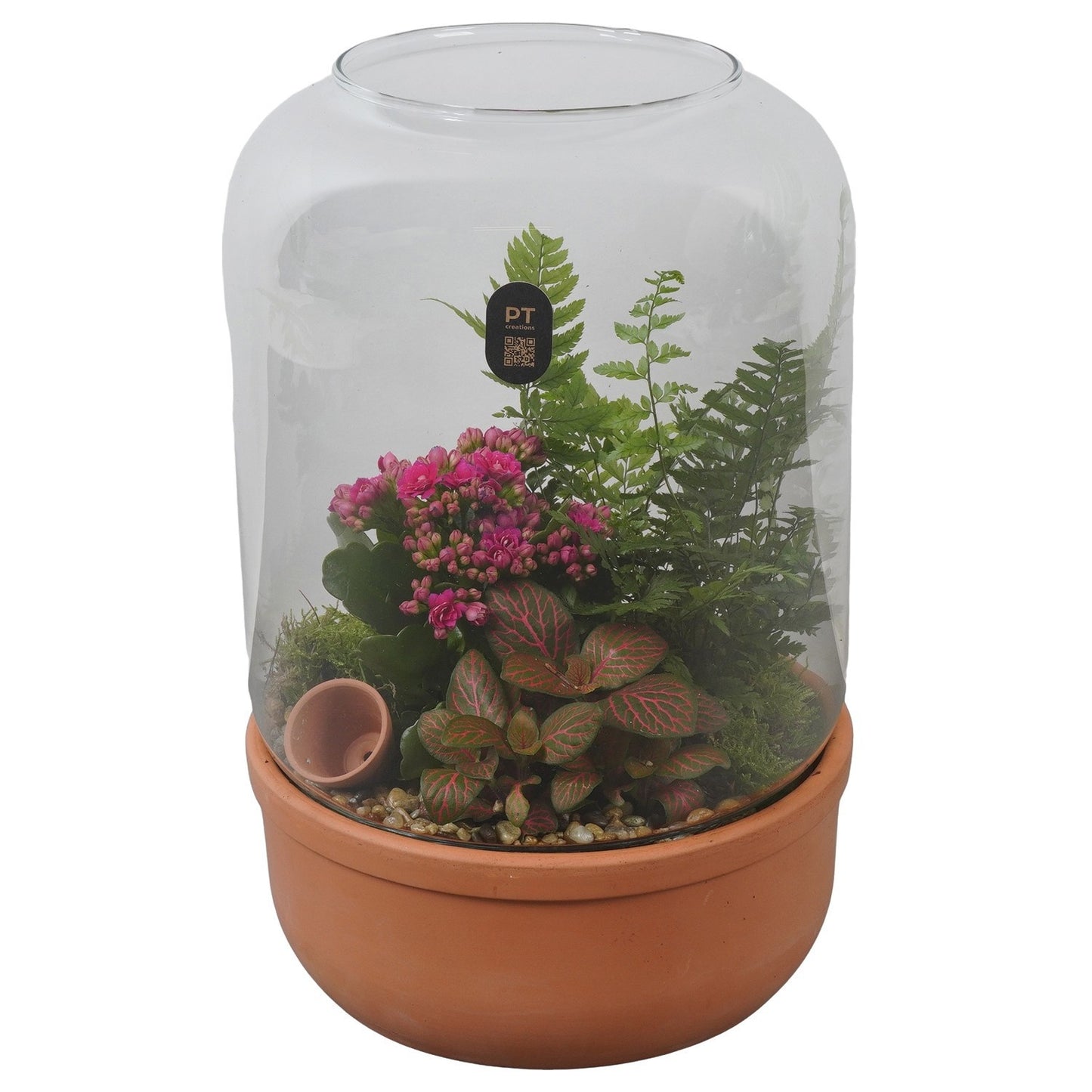 Indoor arrangement 33cm 20cm Pot