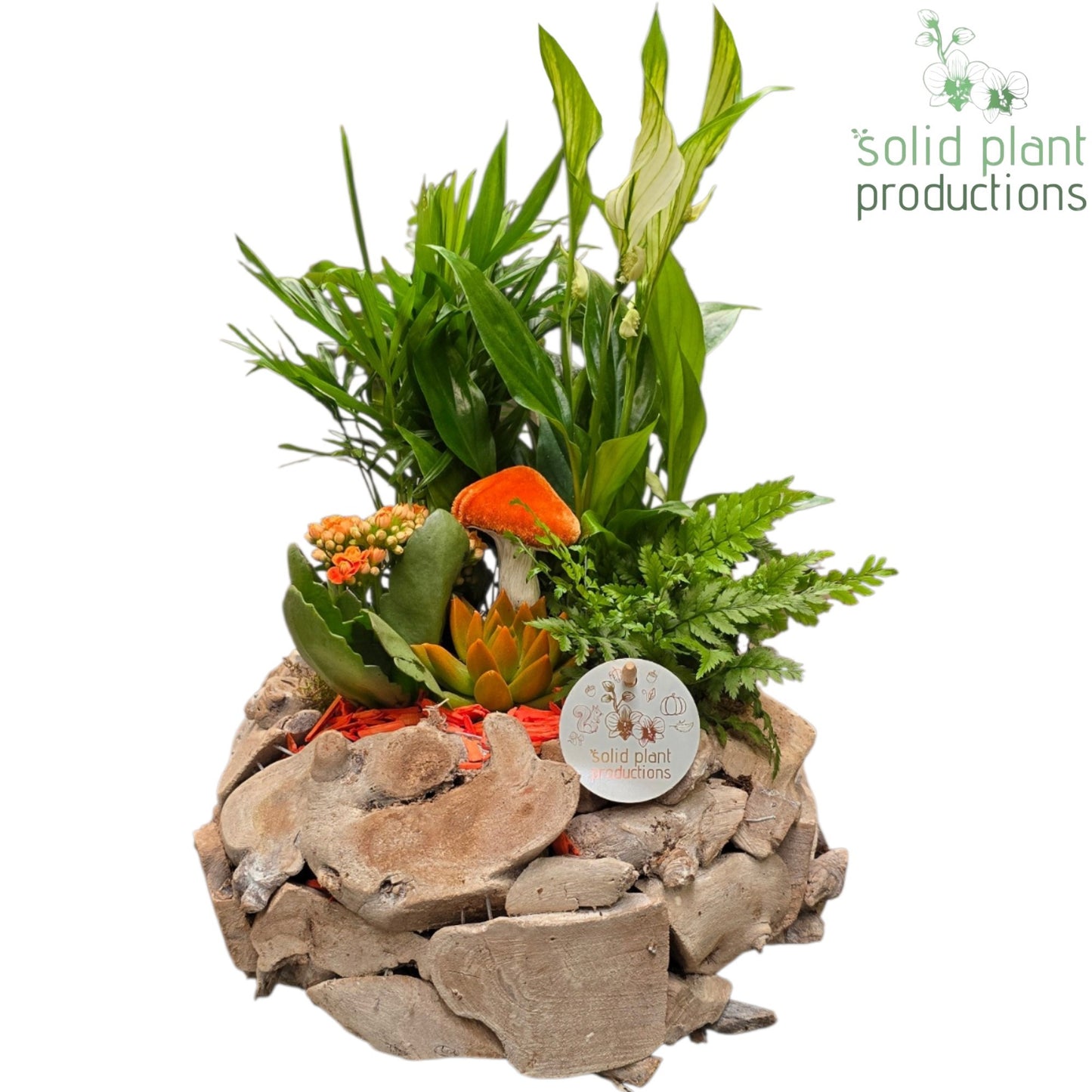 SCE013 Driftwood Round White Washed Orange Autumn 45cm 31cm Pot