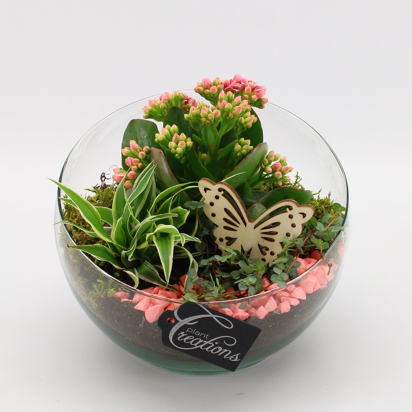 ESCR-2630RZ Essentials 20cm 18cm Pot