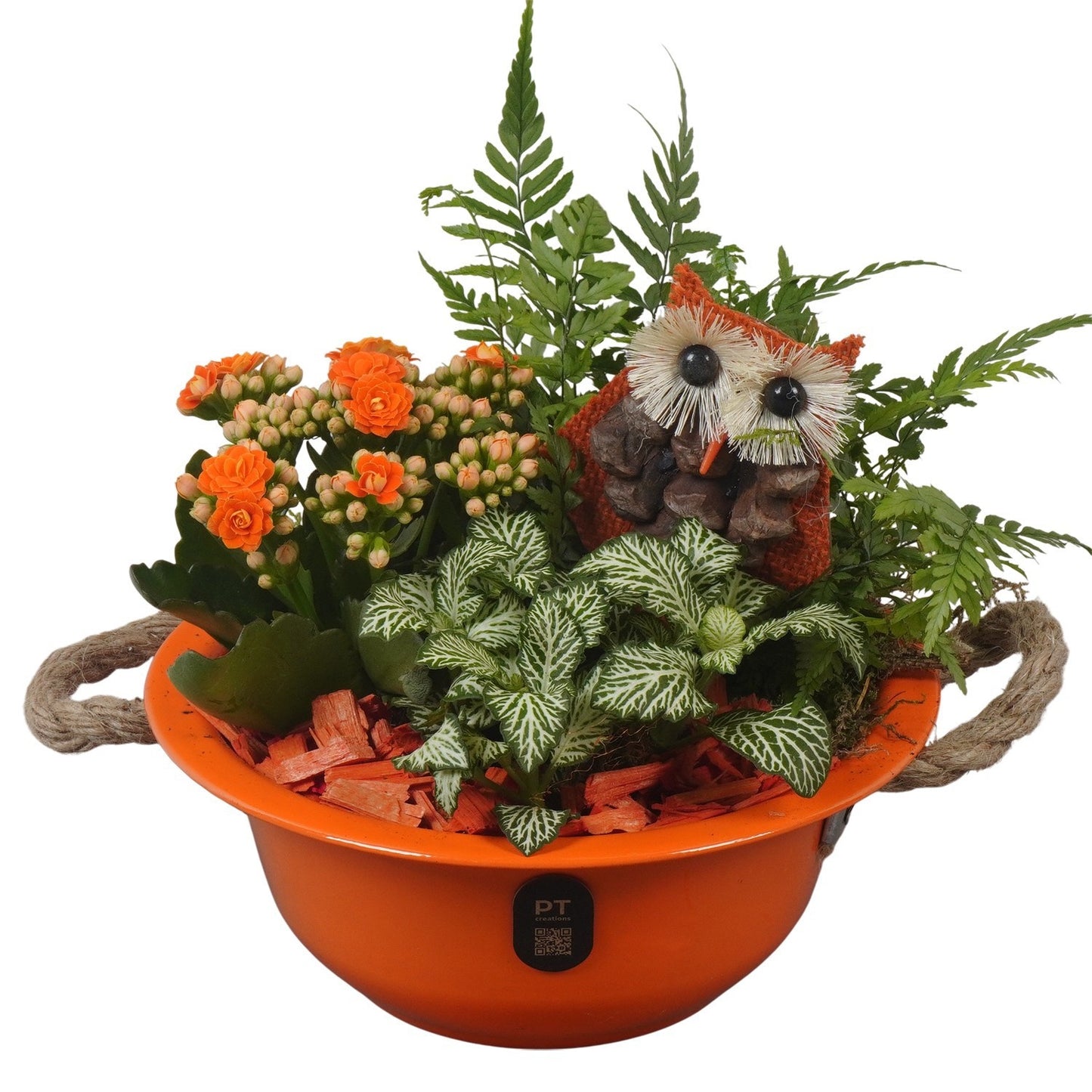Indoor arrangement 18cm 18cm Pot