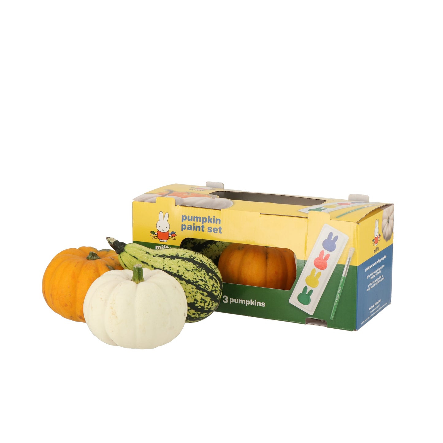 Cucurbita 13cm Pot