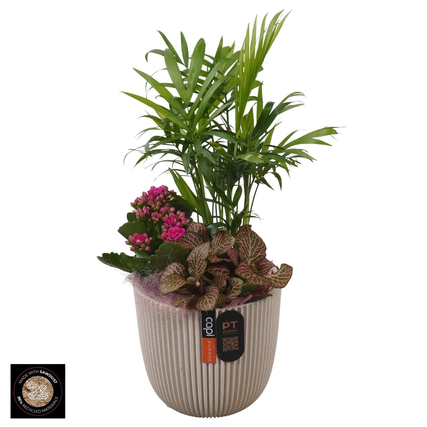 Indoor arrangement 36cm 13cm Pot