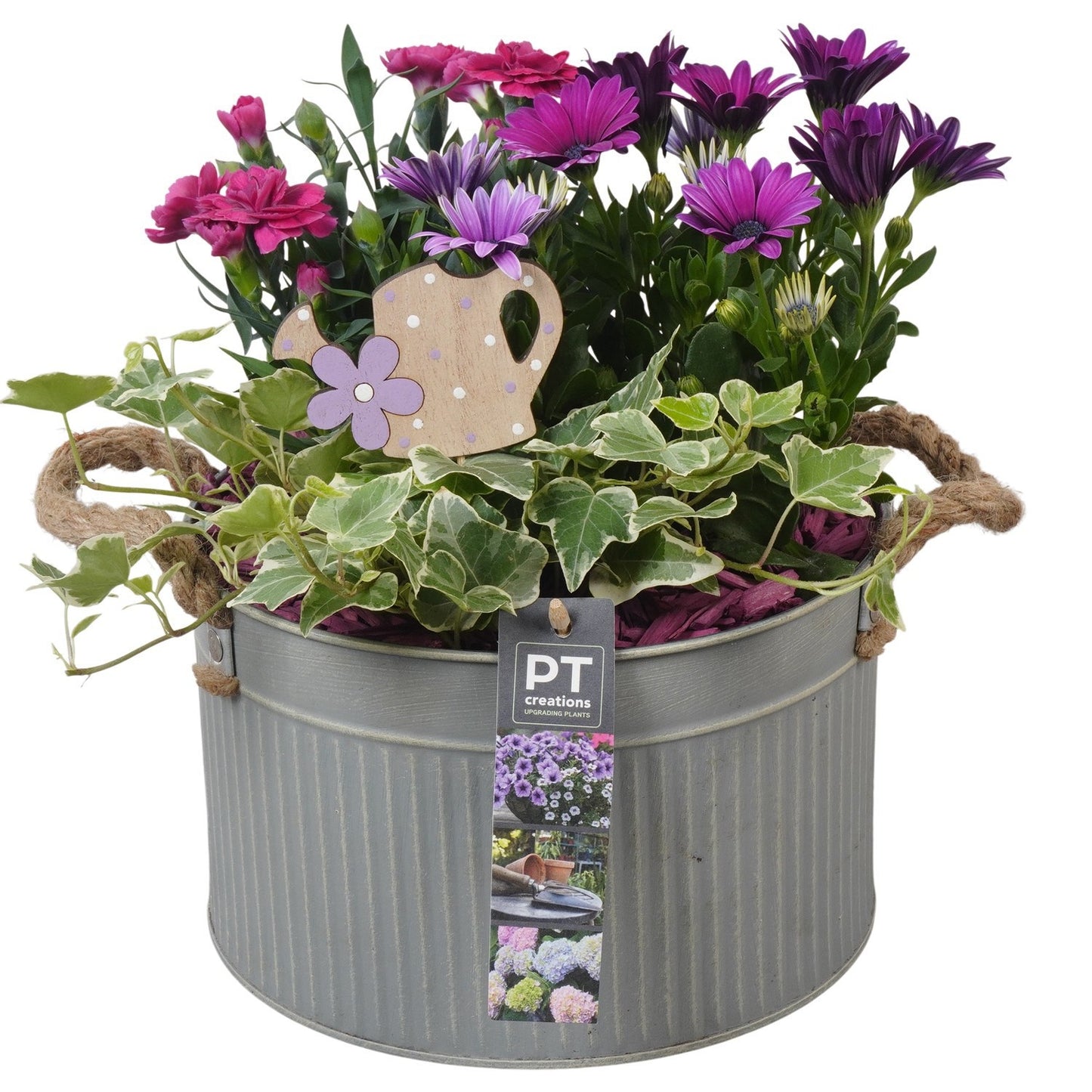 Outdoor arrangement 26cm 21cm Pot