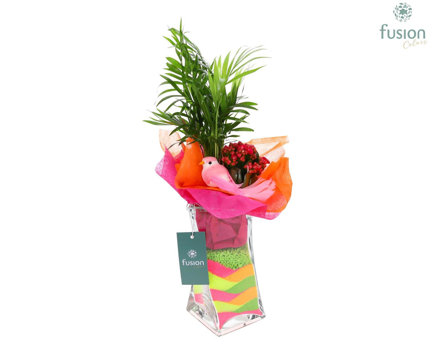 Fusioncolors BV Glas Twistervaas D10 met arrangement Kalanchoe chameadorea Pack of 8