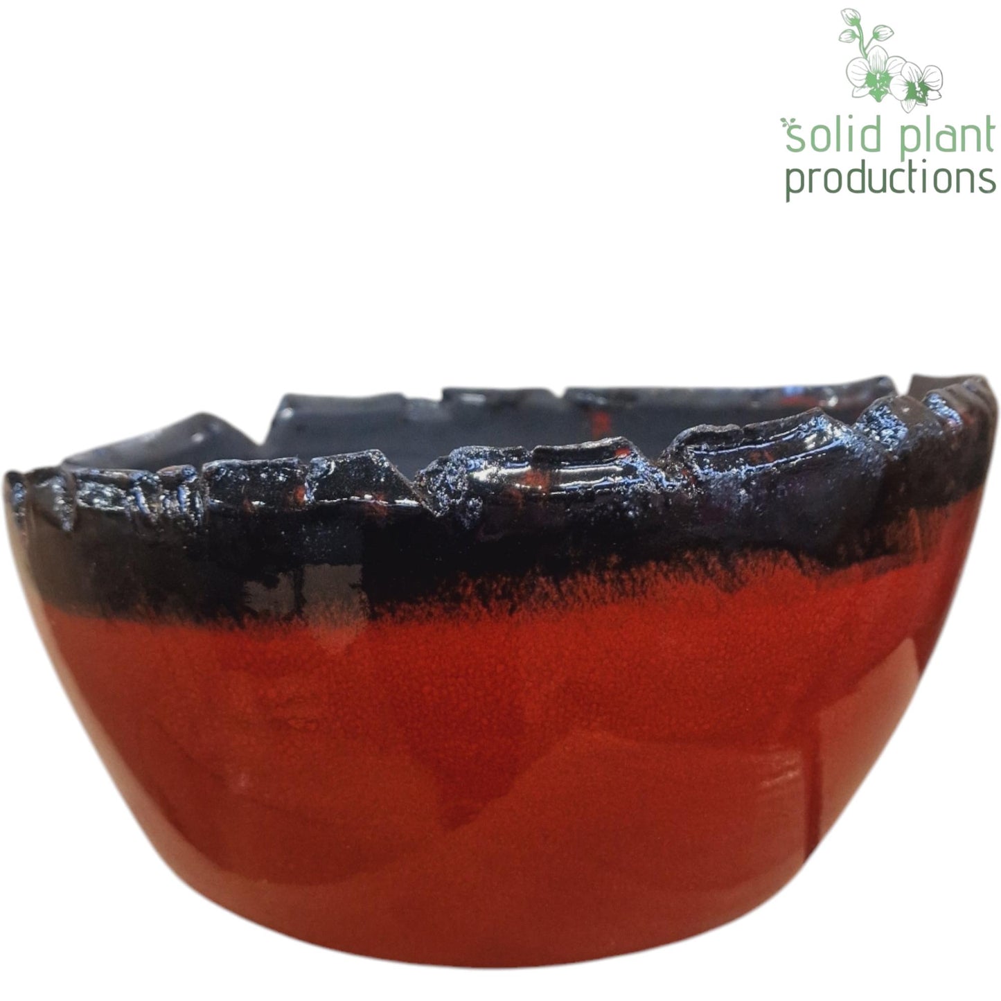 Olivia Red Bowl 11cm 24cm Pot