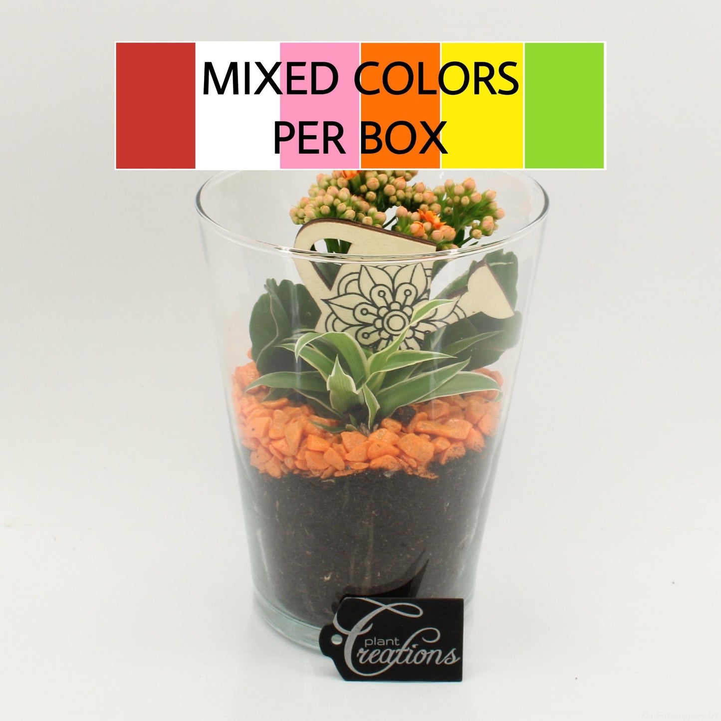 FDCR-2604M Basic Fundamentals 20cm 14cm Pot