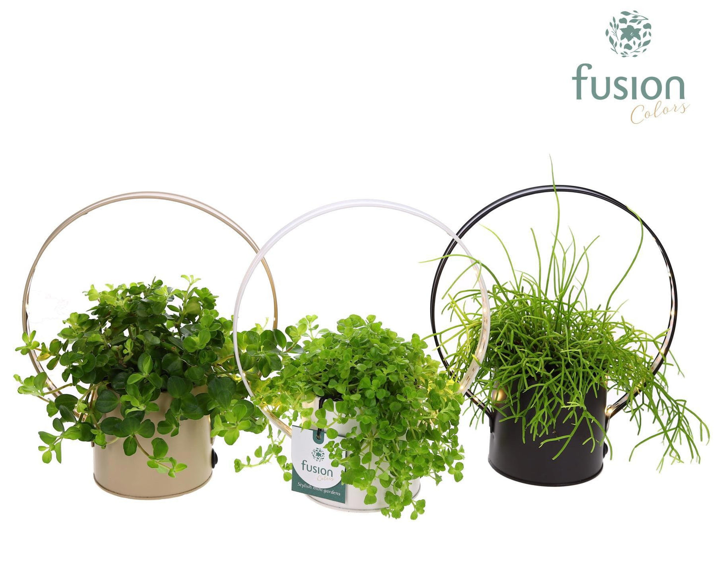 Planter zink met verlichting met Groene planten 25cm 20cm Pot