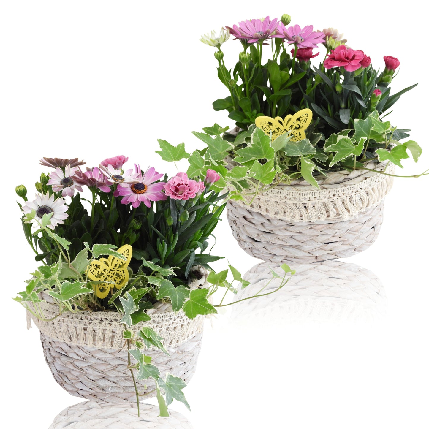Outdoor arrangement 20cm 17cm Pot