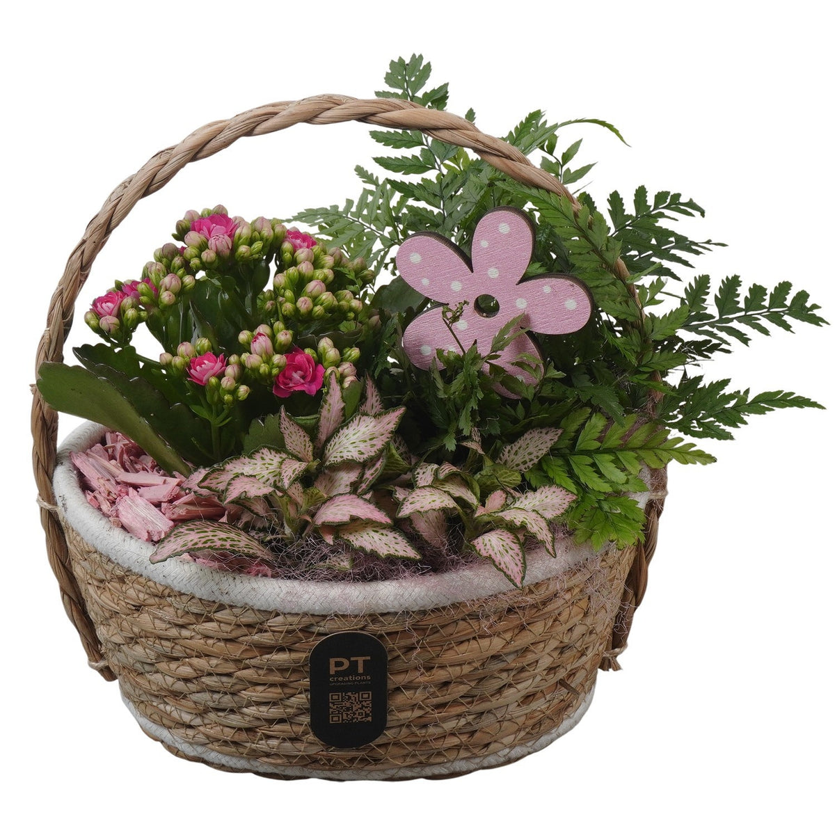 Indoor arrangement 25cm 20cm Pot
