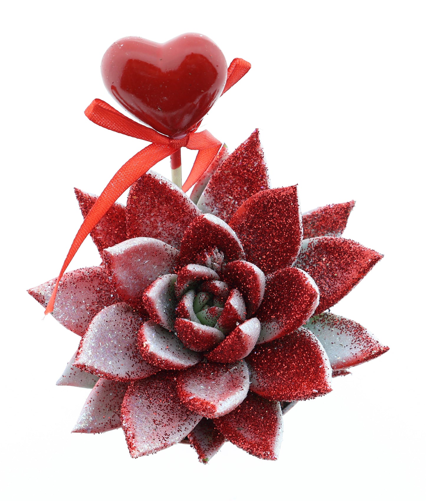 Miranda Valentine rood/wit glitter + hartje 10cm Special Pot (508)