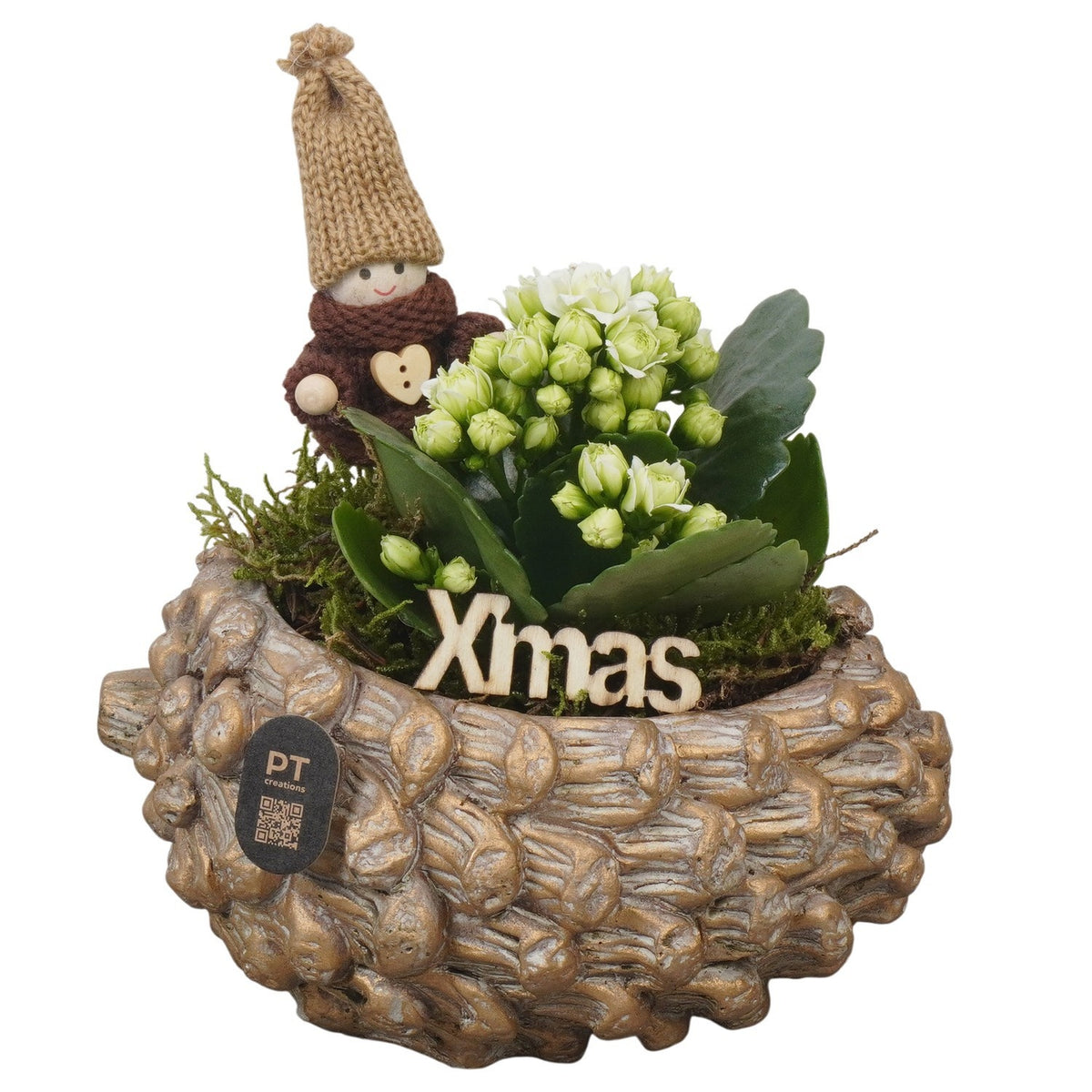 Christmas arrangement 19cm 16cm Pot