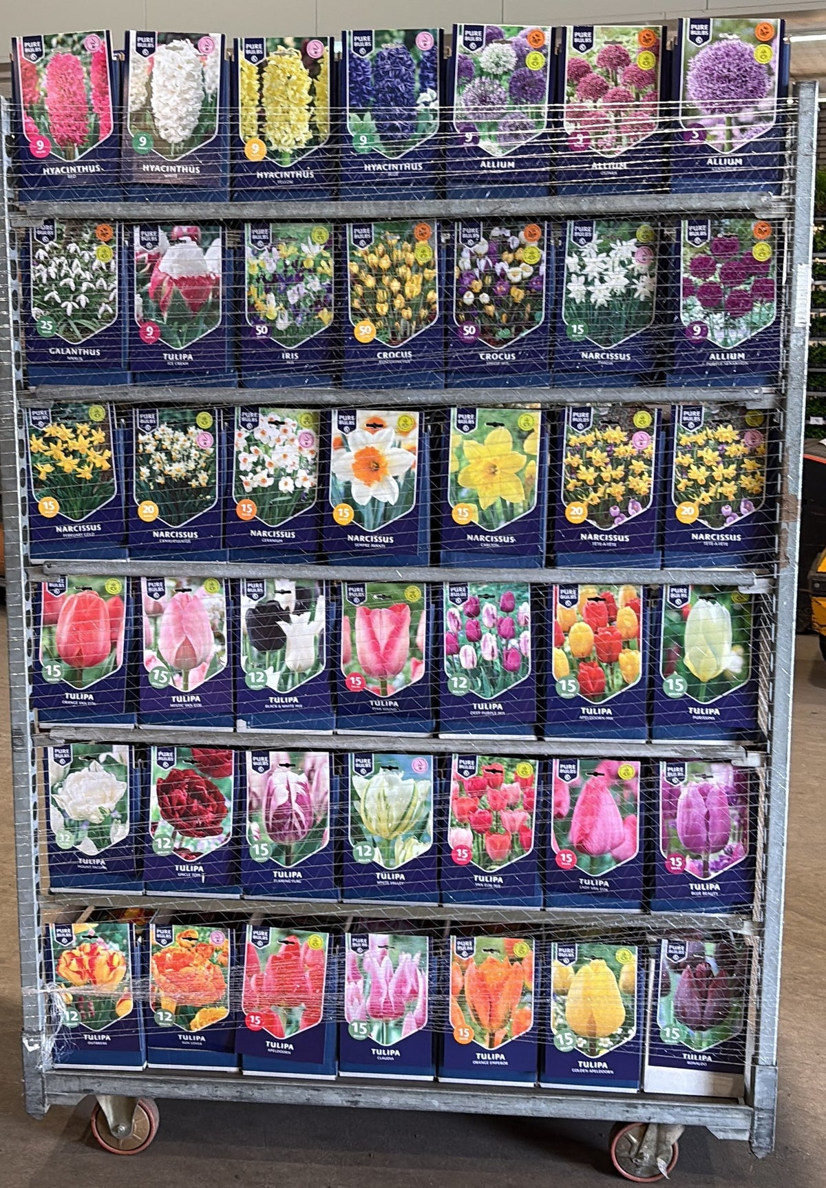 Bulbs