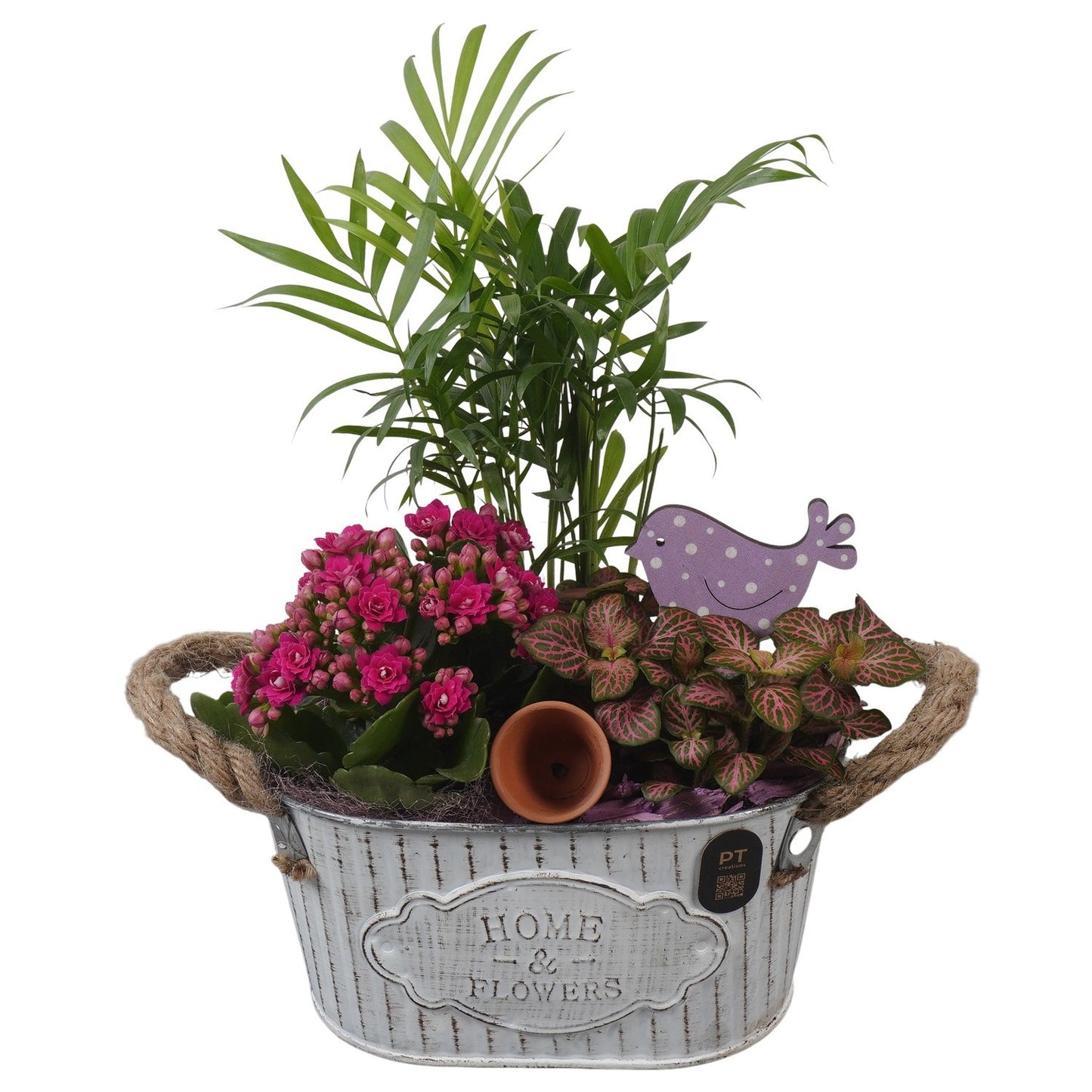 Indoor arrangement 28cm 19cm Pot