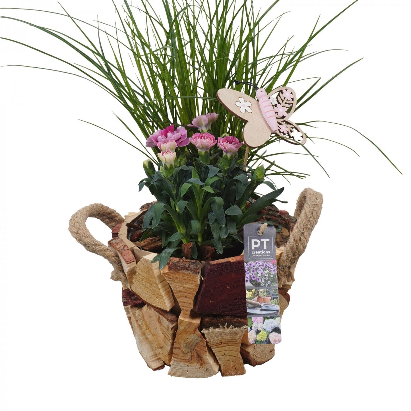 Outdoor arrangement 36cm 16cm Pot
