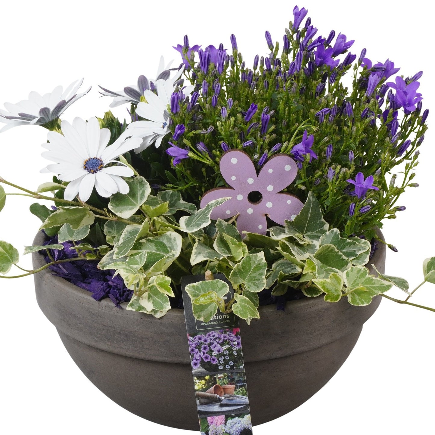 Outdoor arrangement 26cm 23cm Pot
