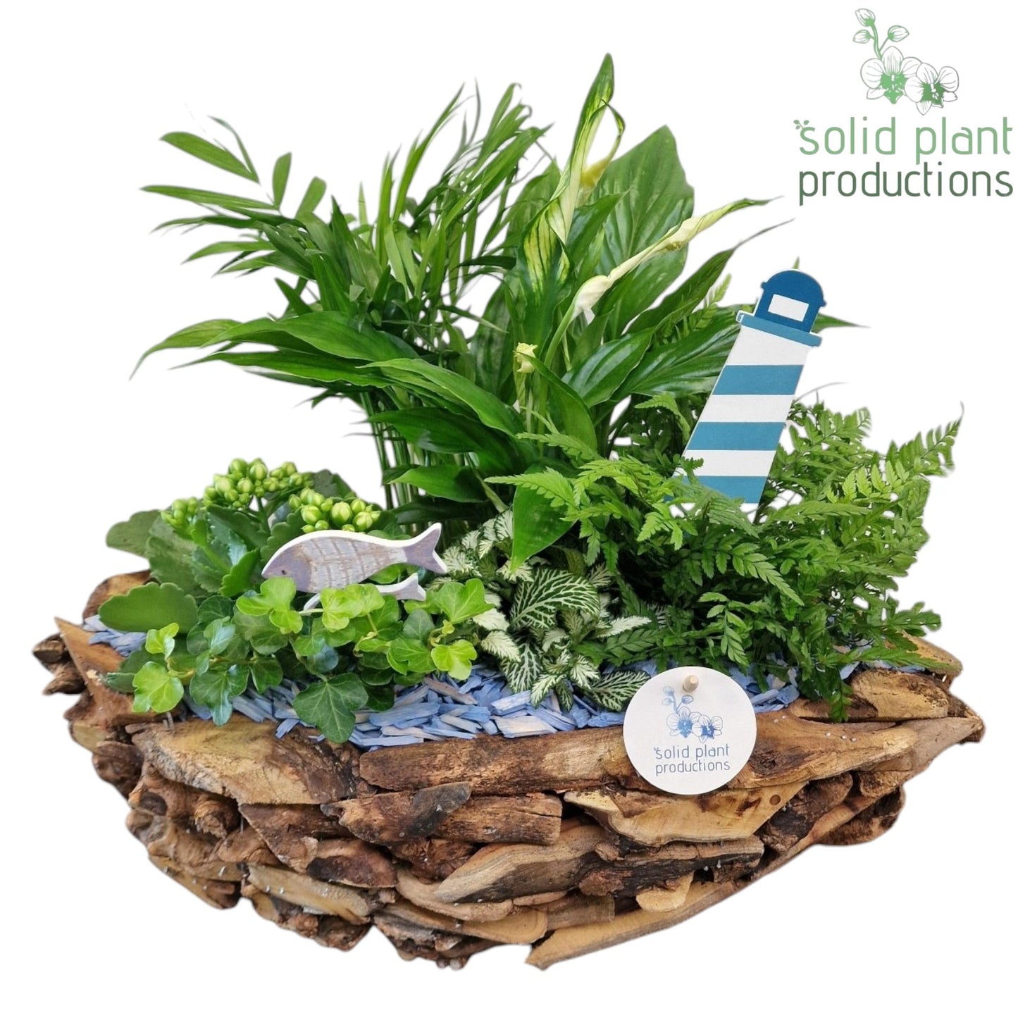 SC012 Driftwood Boat Maritiem 45cm 43cm Pot