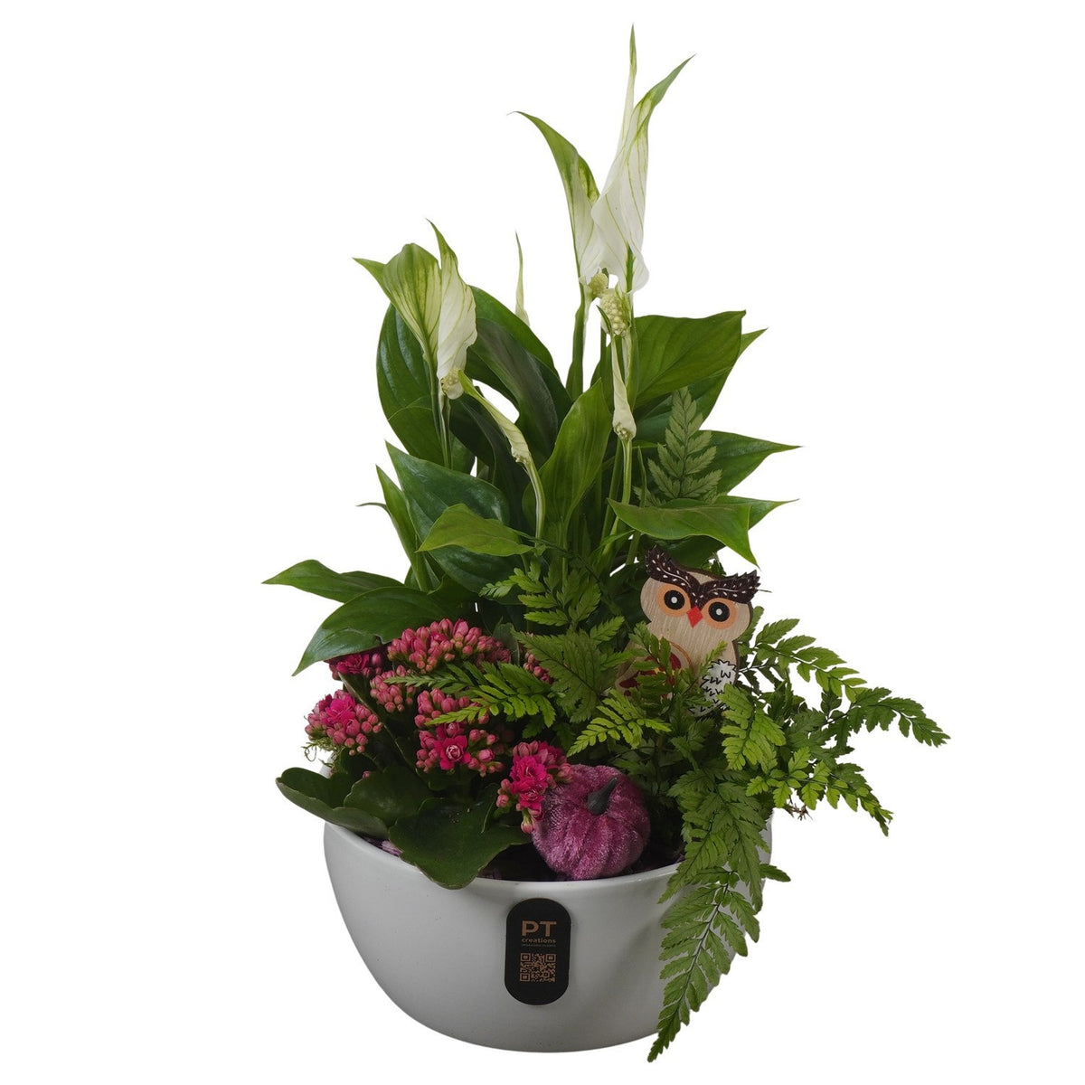 Indoor arrangement 38cm 18cm Pot