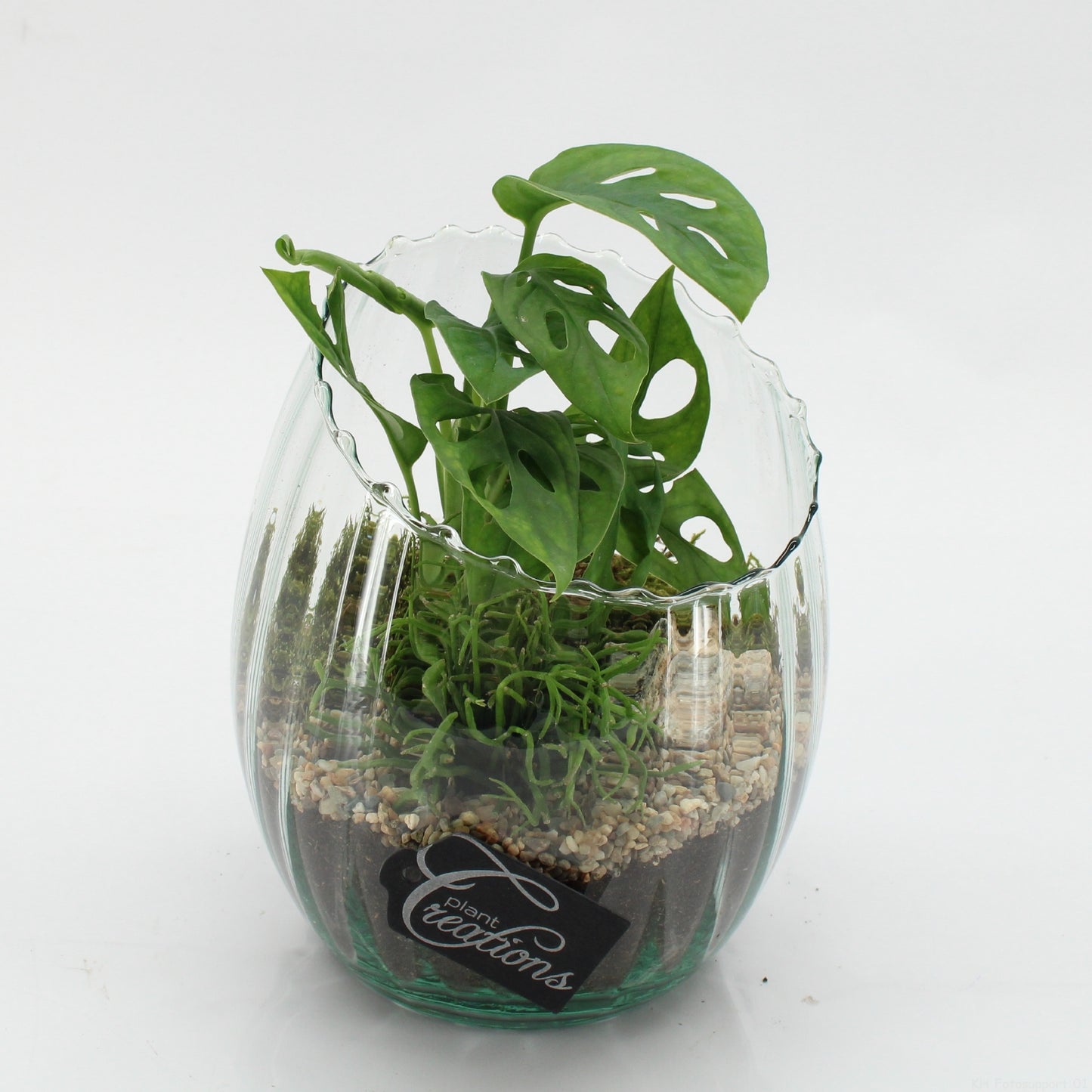 GRCR-2603 Green Essentials 20cm 16cm Pot