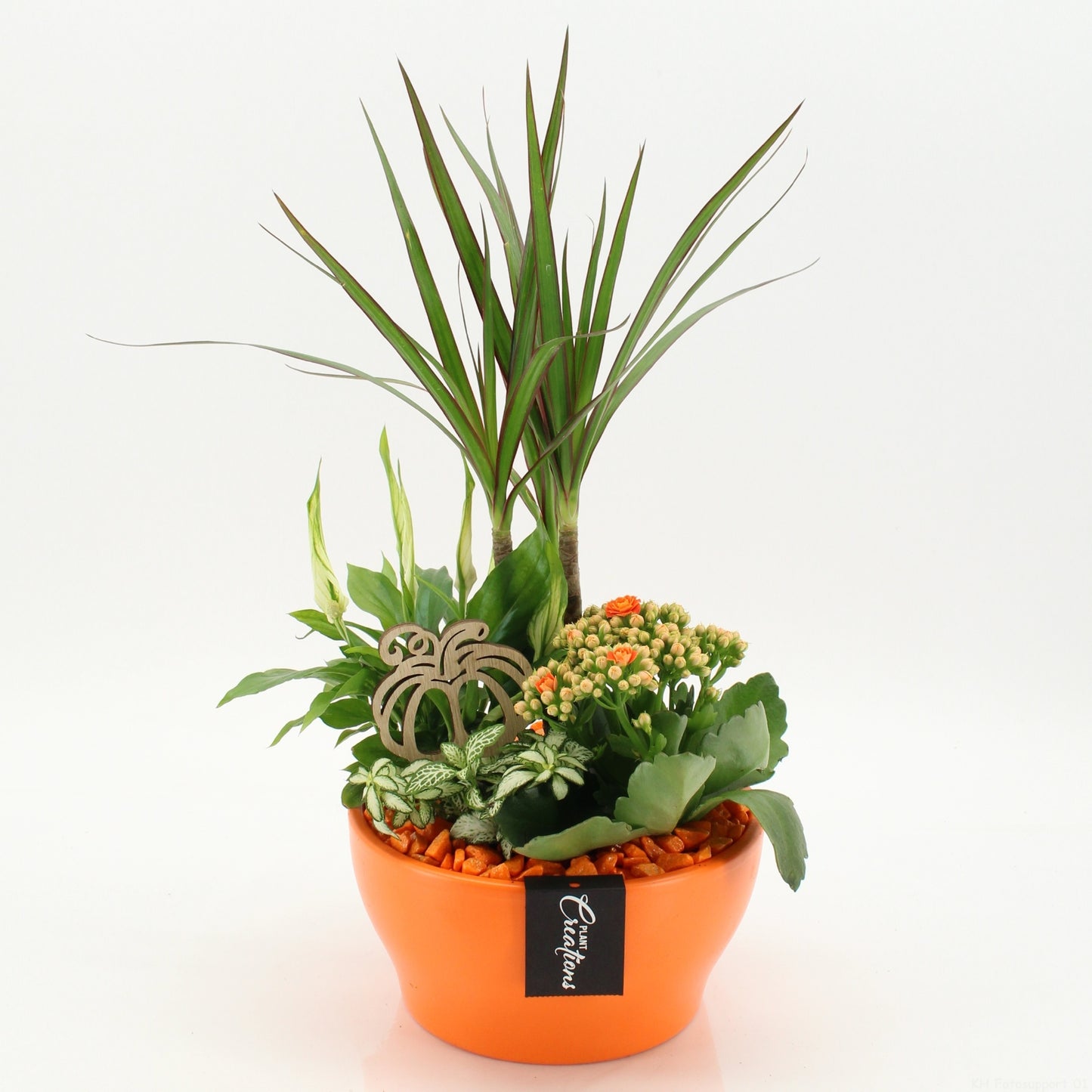 BHCR-2610 Autumn Fundamentals 45cm 19cm Pot
