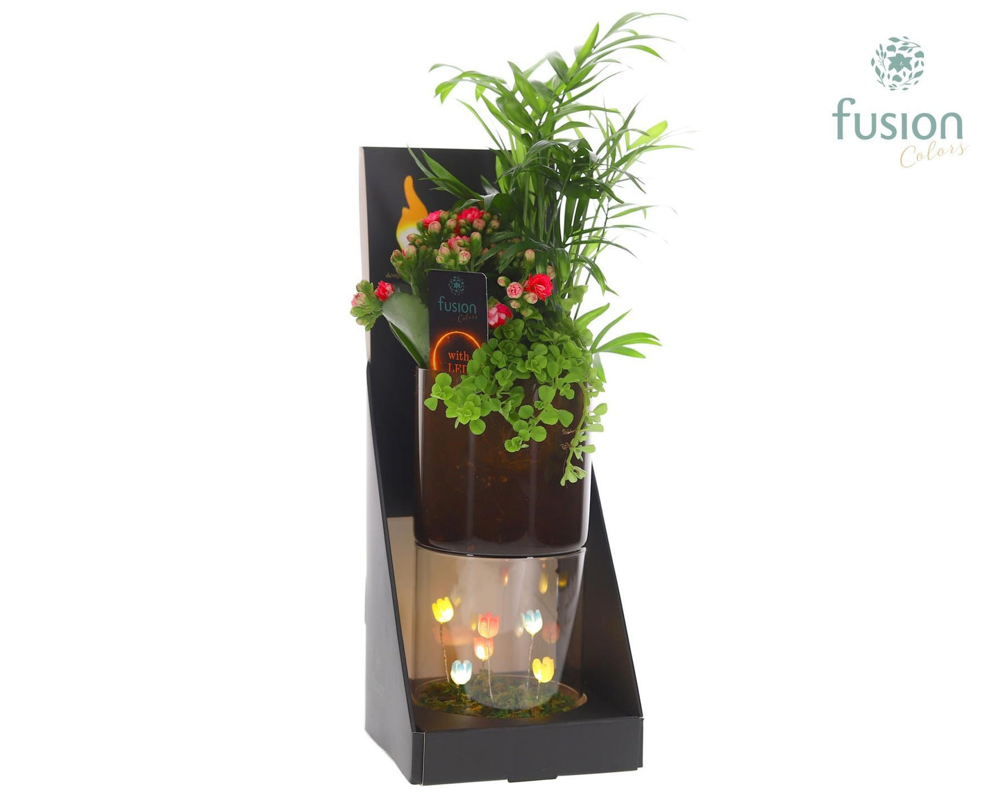 Glas tube Led planter groot met Arrangement 43cm 11cm Pot